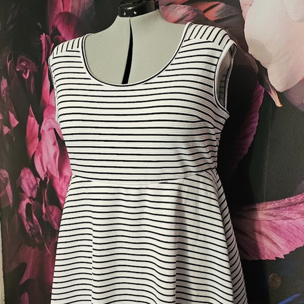 NWT - Torrid Black and White A-line Dress